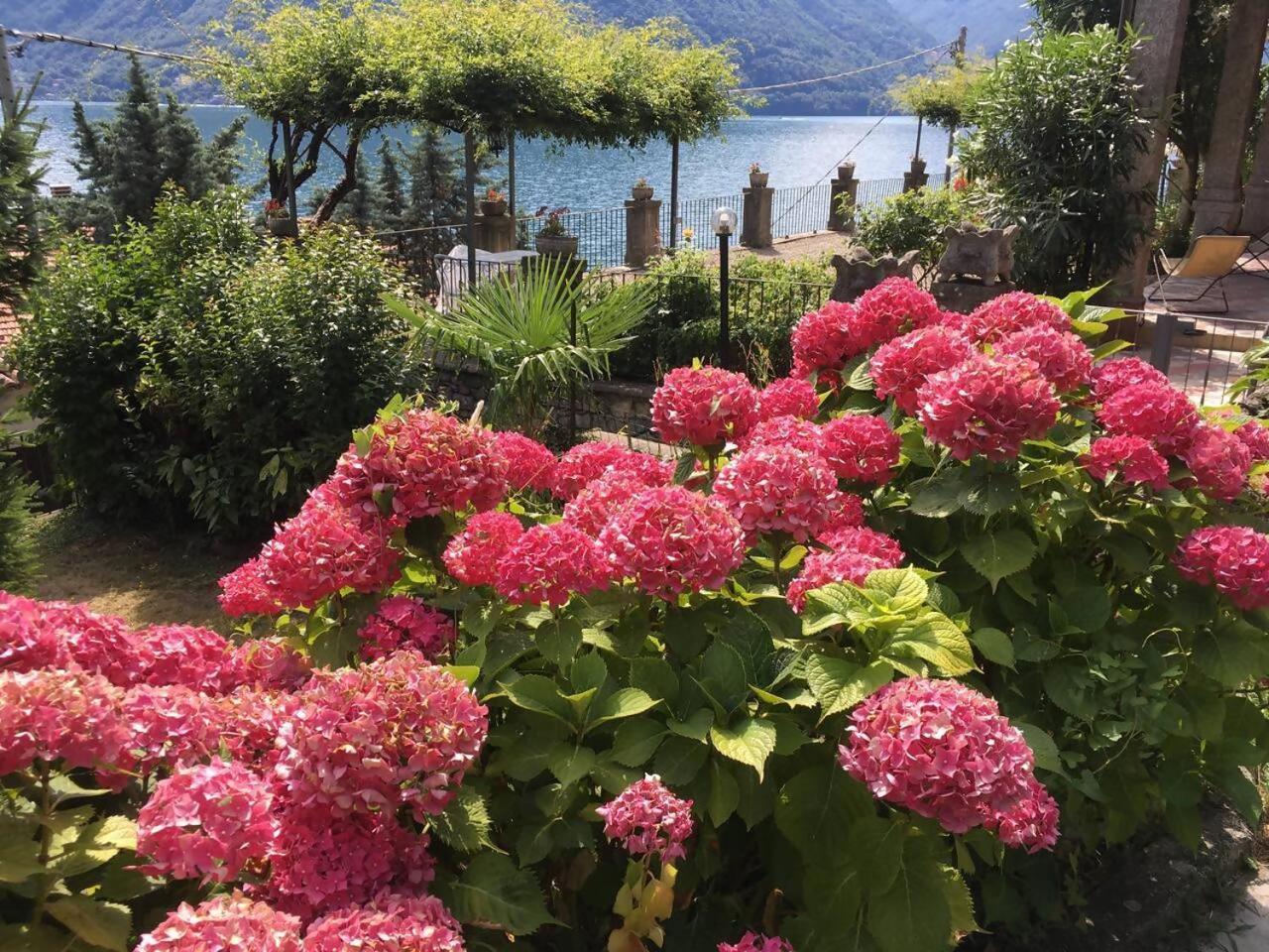 Villa Peroni Honeymoon Cottage 阿尔杰尼奥 外观 照片